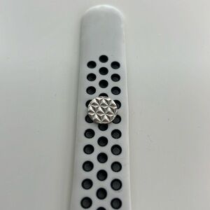 Disney Epcot Apple Watch Band Charm